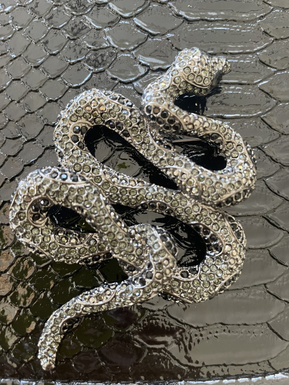 Leather and Snake
